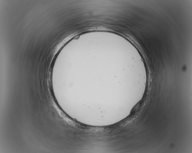 X0000115120909200912081341