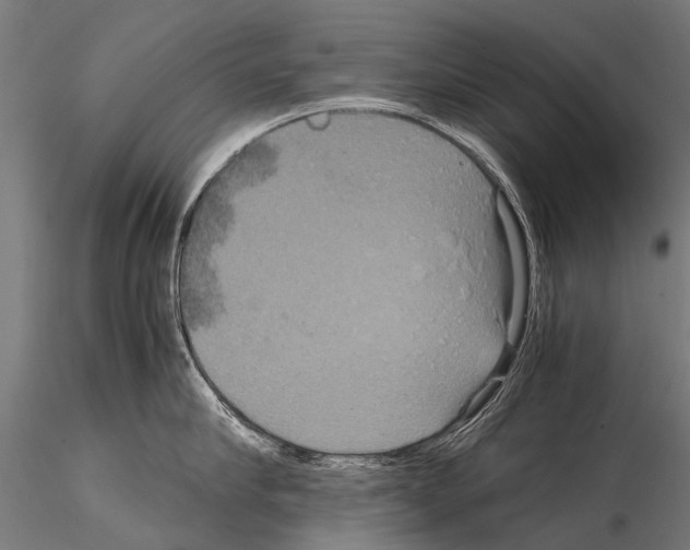 X0000115120910200912081341