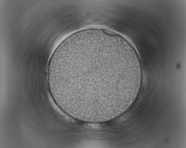 X0000115120911200912081341