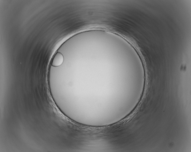 X0000115120912200912081341