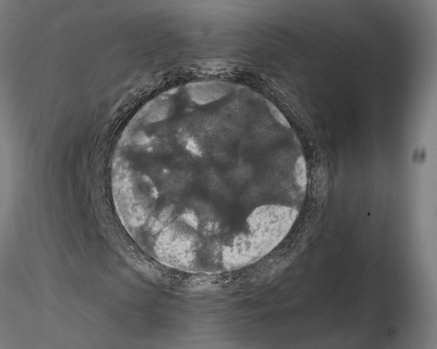 X0000115120913200912081341