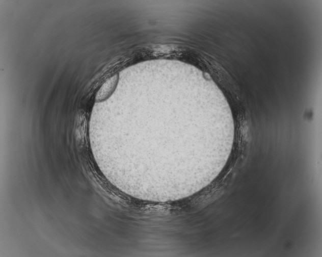 X0000115120914200912081341