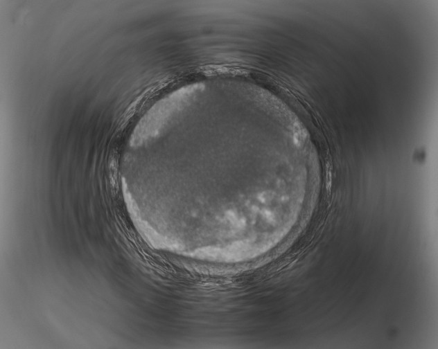 X0000115120915200912081341