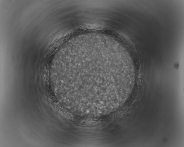 X0000115120917200912081341