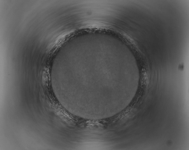 X0000115120918200912081341