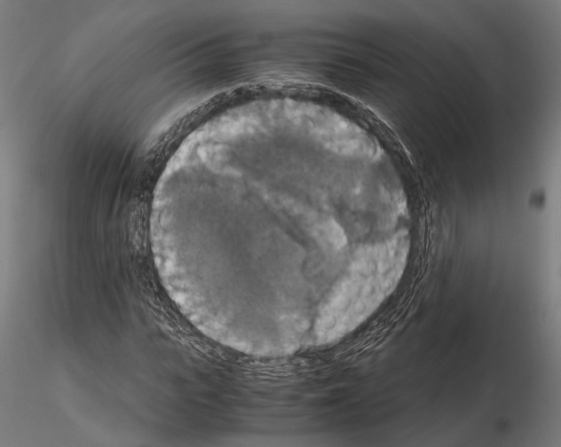 X0000115120919200912081341