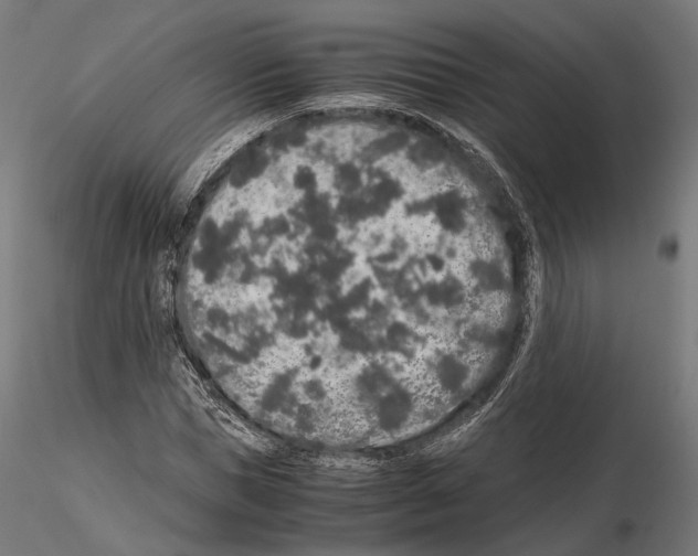 X0000115120921200912081341