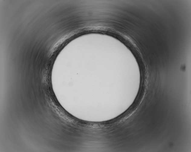 X0000115120922200912081341