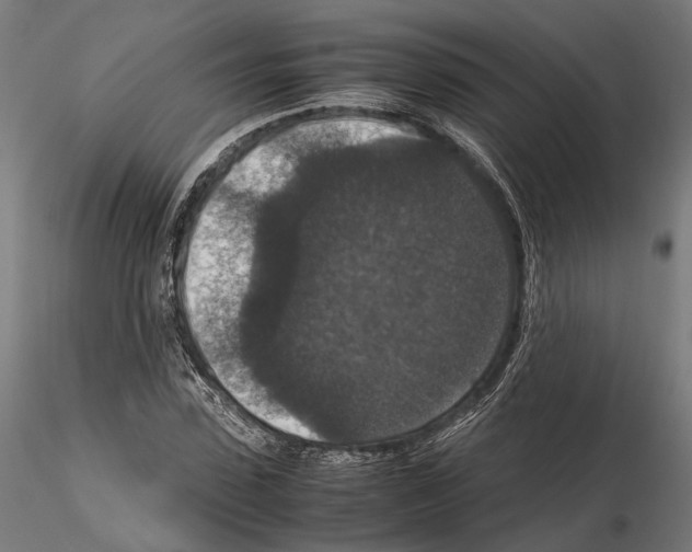 X0000115120923200912081341