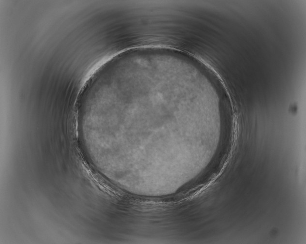 X0000115120925200912081341