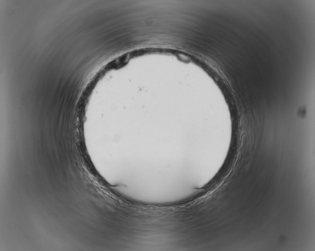 X0000115120926200912081341