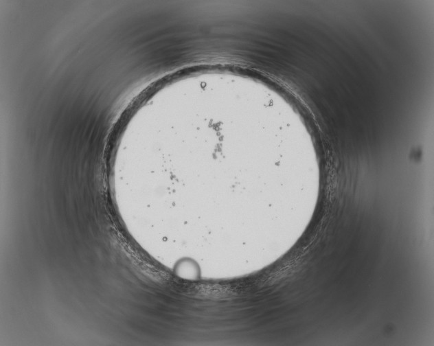 X0000115120927200912081341