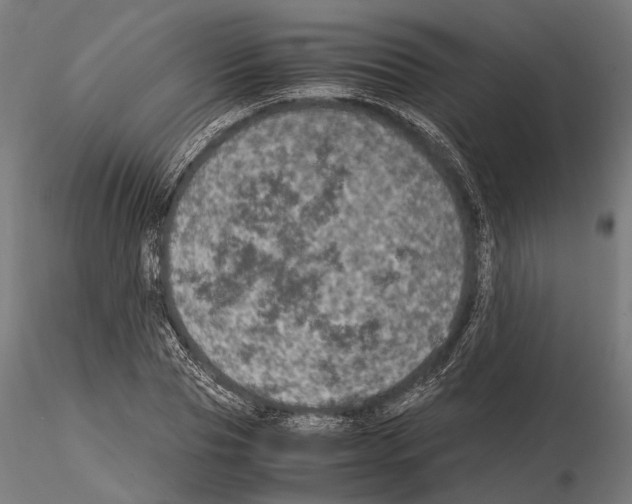 X0000115120929200912081341