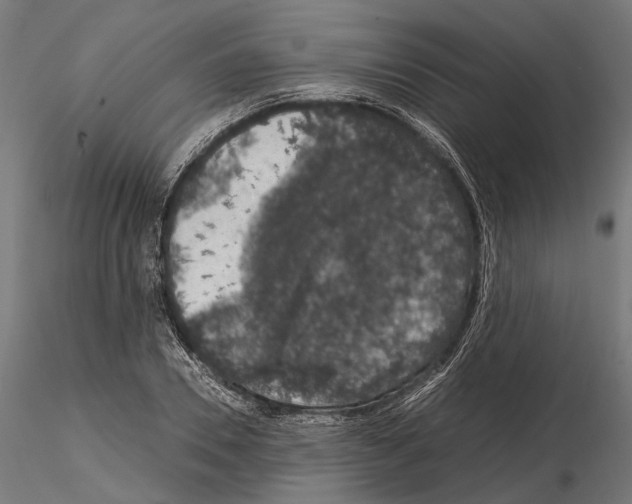 X0000115120930200912081341