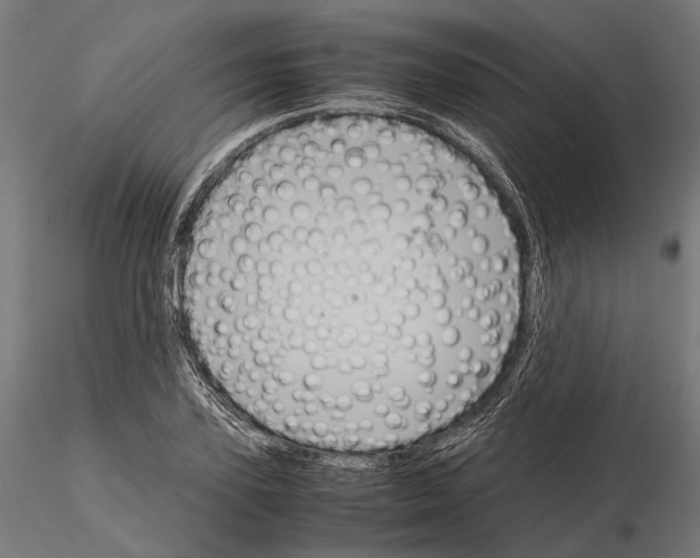 X0000115120931200912081341