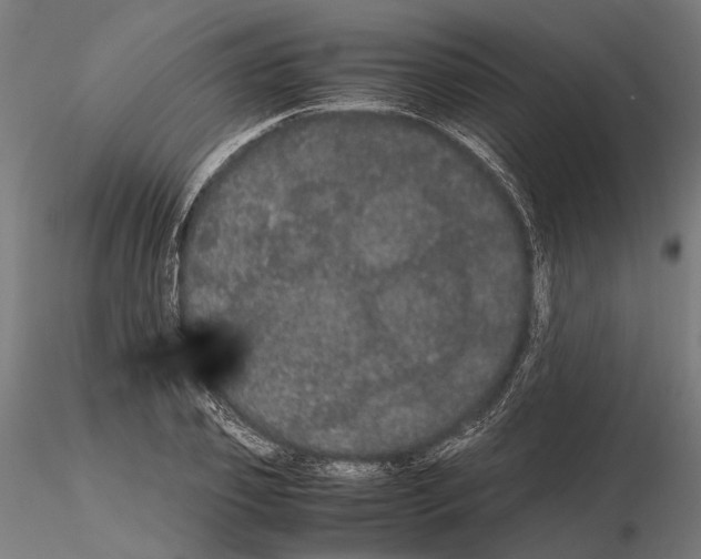 X0000115120933200912081341