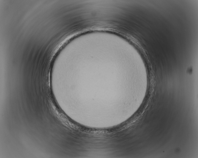 X0000115120934200912081341