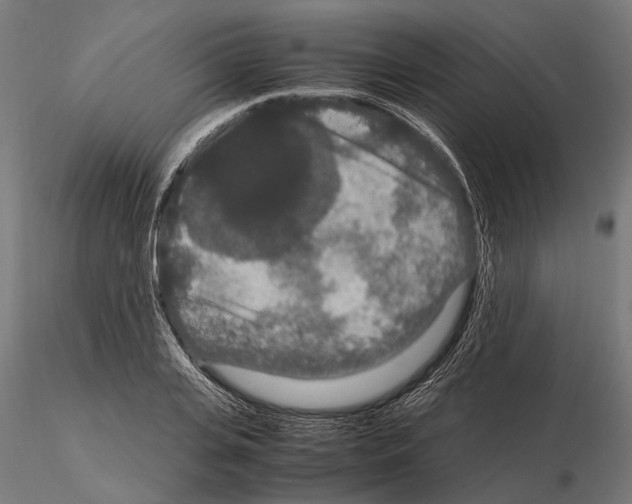 X0000115120935200912081341