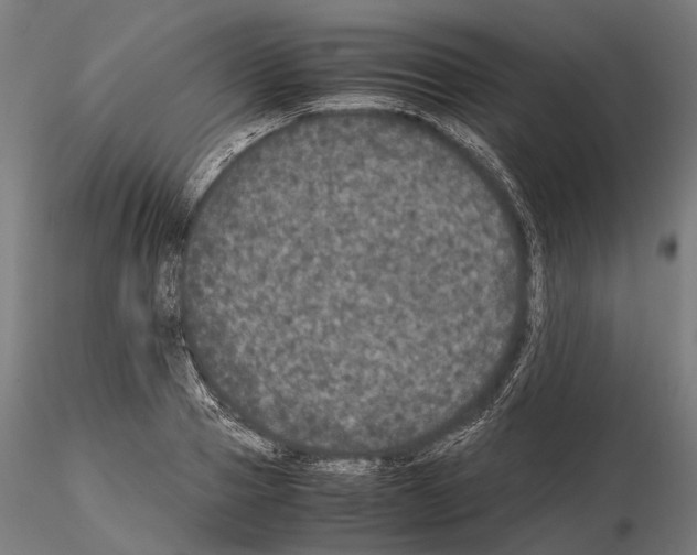 X0000115120937200912081341