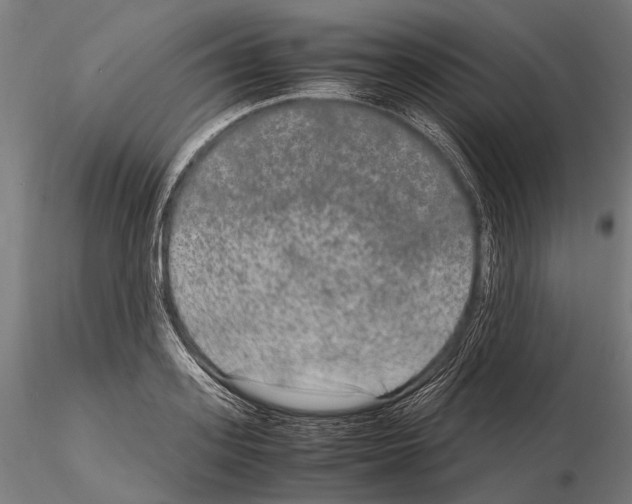 X0000115120939200912081341