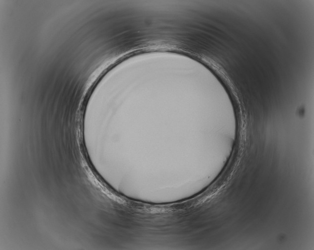 X0000115120941200912081341