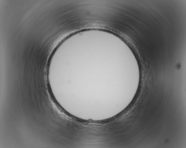 X0000115120942200912081341