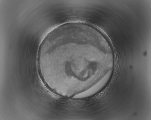 X0000115120943200912081341