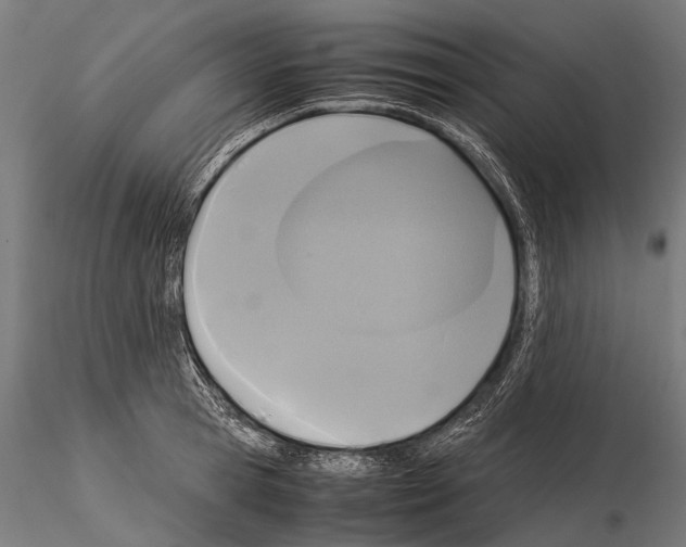 X0000115120945200912081341