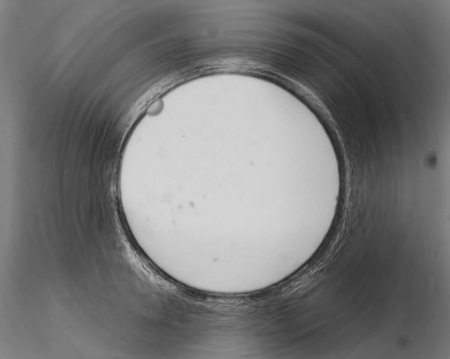 X0000115120946200912081341