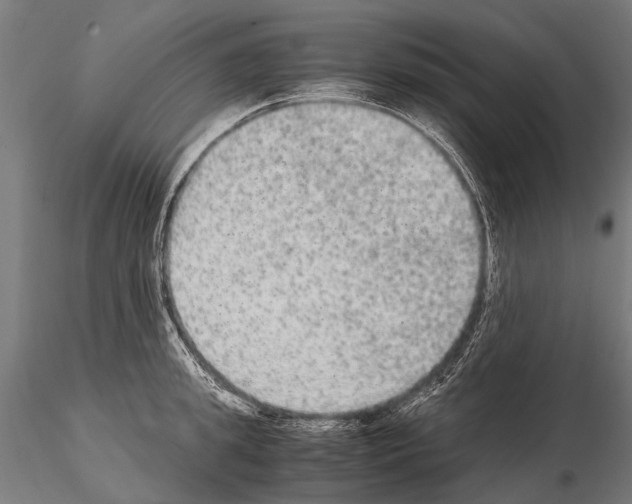 X0000115120949200912081341