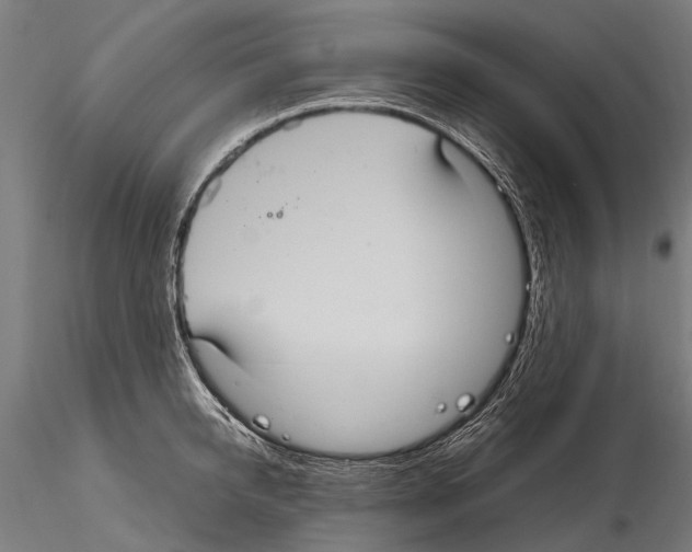 X0000115120950200912081341