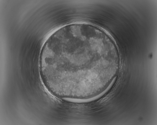 X0000115120951200912081341