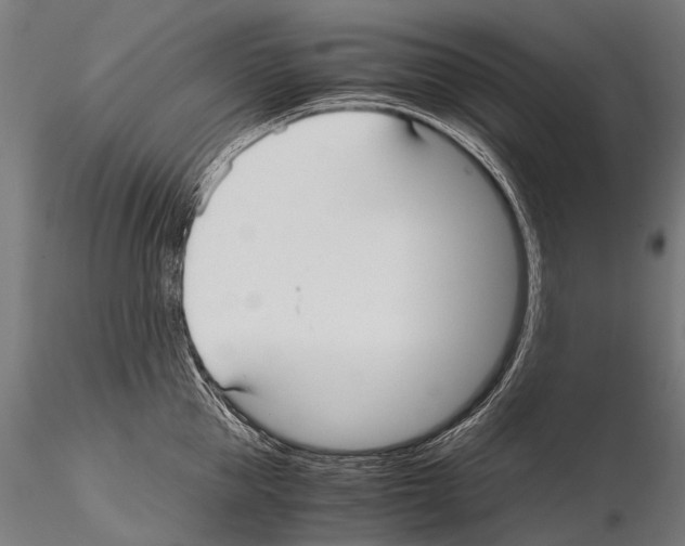 X0000115120953200912081341