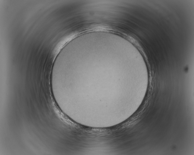 X0000115120954200912081341