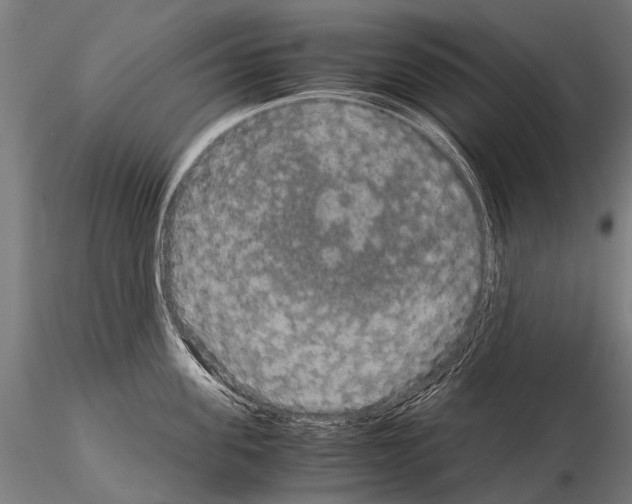 X0000115120955200912081341