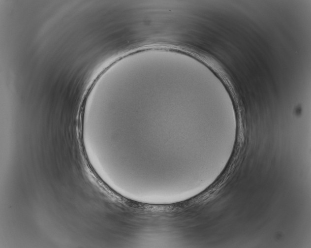 X0000115120958200912081341