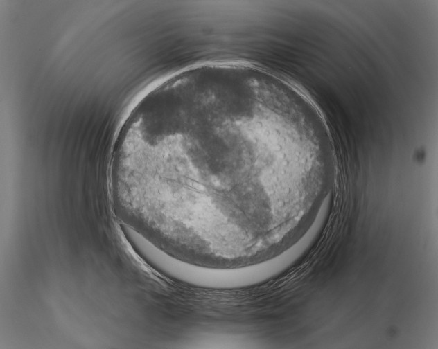 X0000115120959200912081341