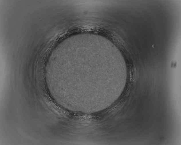 X0000115120961200912081341