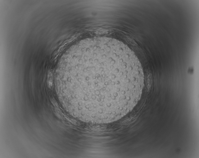 X0000115120962200912081341