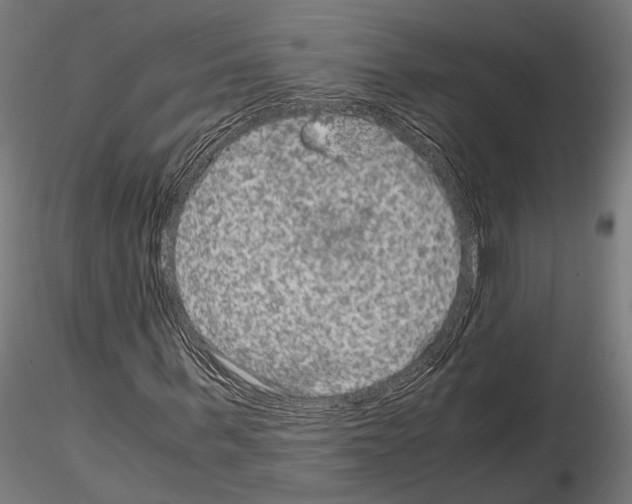 X0000115120963200912081341