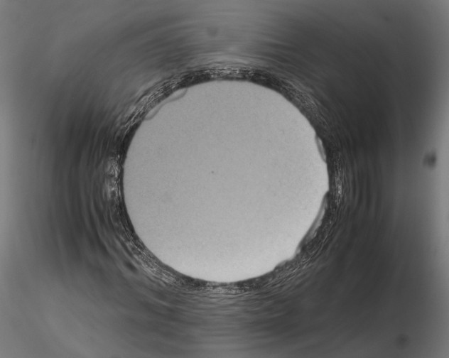 X0000115120964200912081340