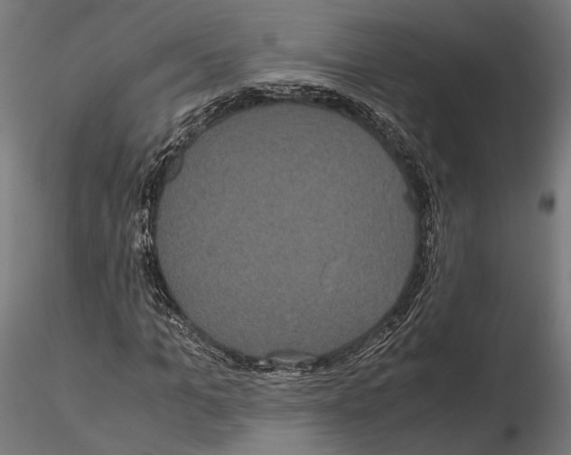 X0000115120965200912081340