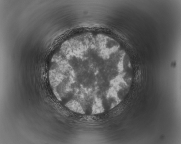 X0000115120966200912081340