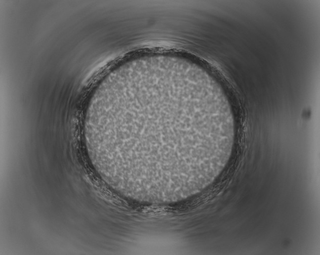 X0000115120967200912081340