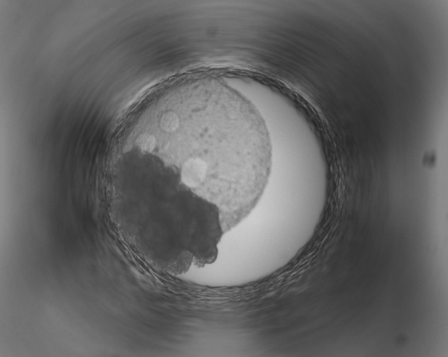 X0000115120968200912081340