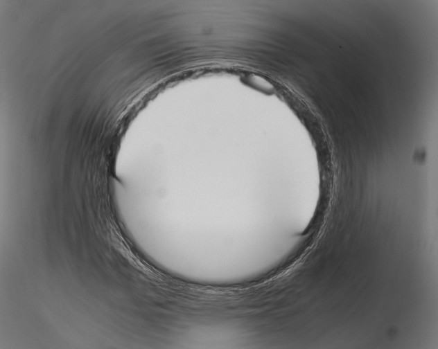 X0000115120969200912081340