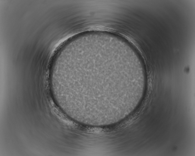 X0000115120971200912081340