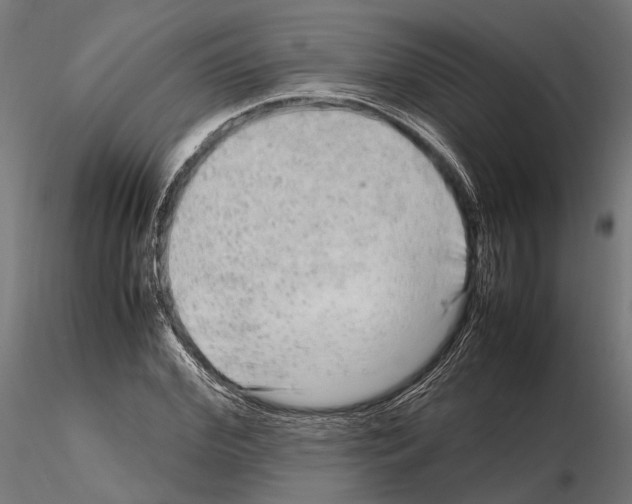 X0000115120972200912081340