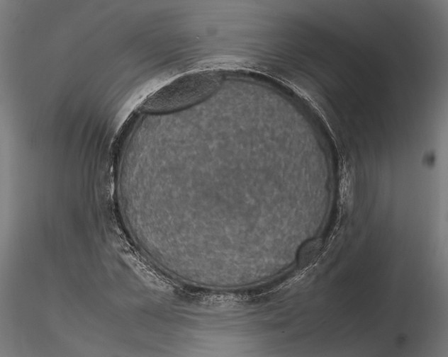 X0000115120973200912081340