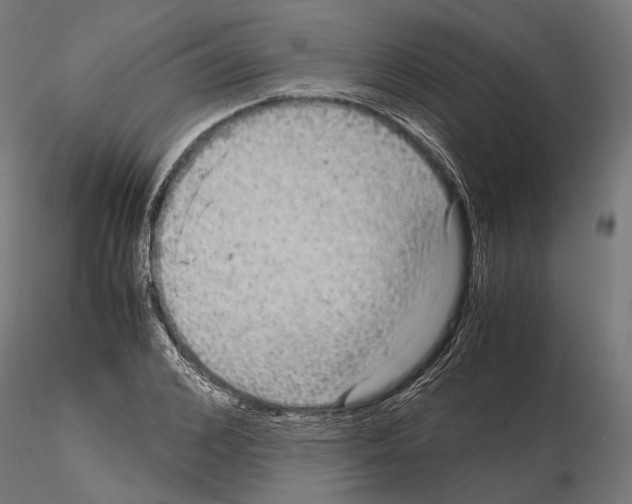 X0000115120976200912081340